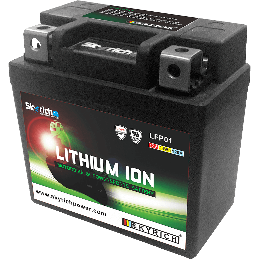 SKYRICH Lithium battery LTKTM04L - Picture 1 of 1