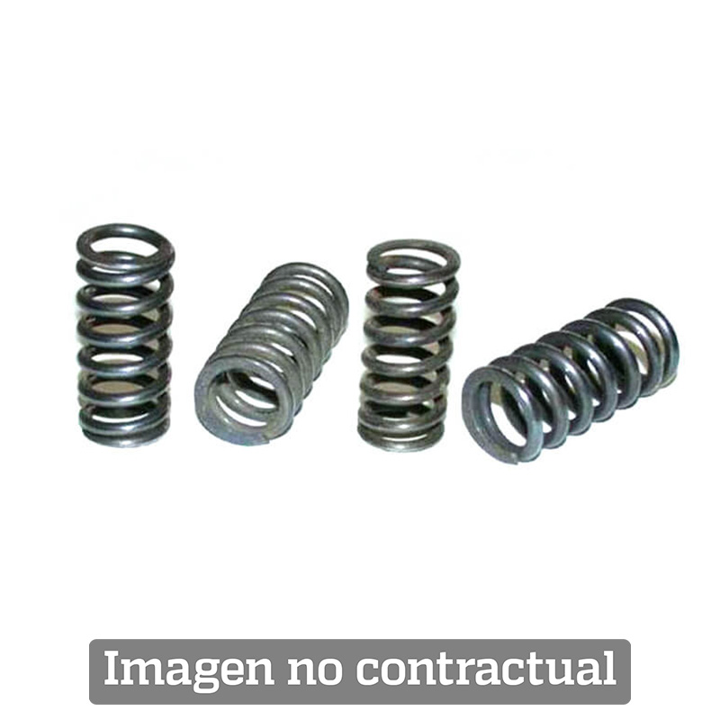 35803 - TOURMAX KIT, CLUTCH SPRING - Picture 1 of 1