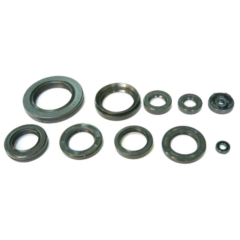 TOURMAX MOTOR OLIE SEAL KIT - Picture 1 of 1